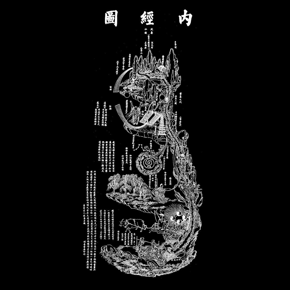 PK2022: Moduuli A5 - Yangsheng A5