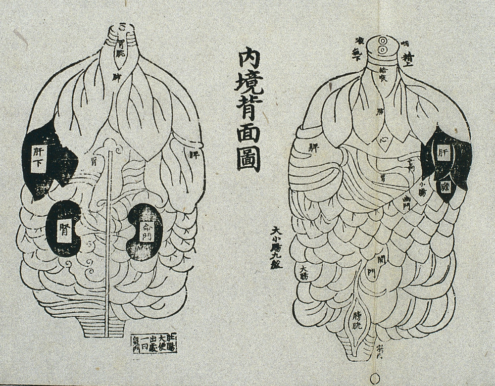 PK2023: Moduuli 3 - Diagnostiikka M3